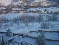 Neve